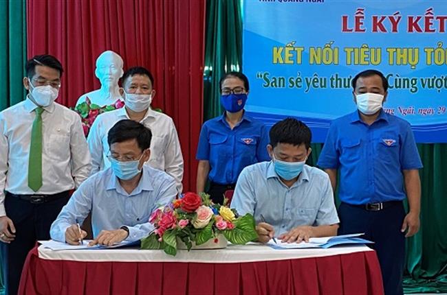 Vietcombank Quảng Ngãi hỗ trợ kết nối tiêu thụ tỏi Lý Sơn