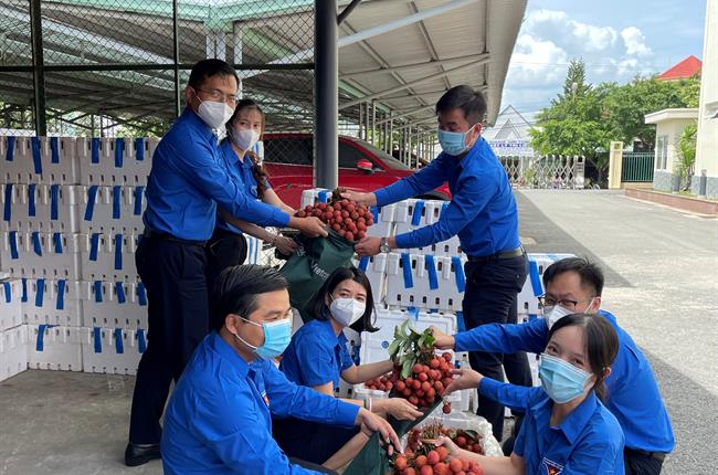 Vietcombank Long An hỗ trợ người dân Bắc Giang tiêu thụ vải thiều 