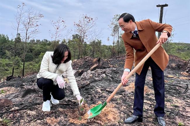 Vietcombank Móng Cái tham gia Tết trồng cây năm 2023