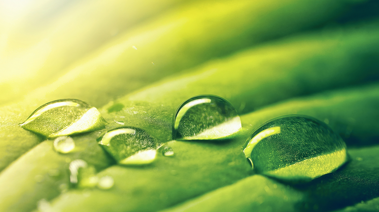 Quản lý nước tại Vietcombank